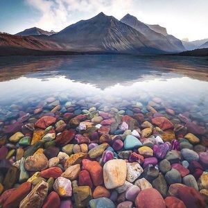 Meet your Posher, Nesreen